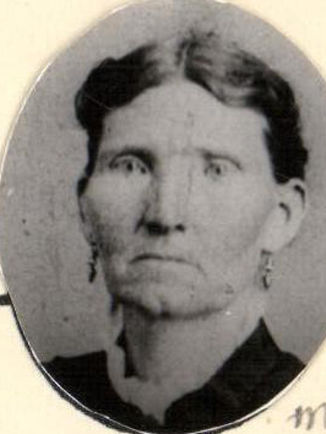 Maria Stina Olsson Anderson (1823 - 1881) Profile